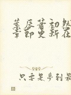 叶辰萧初然最新章节更新在线阅读