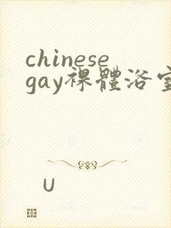 chinesegay裸体浴室封面