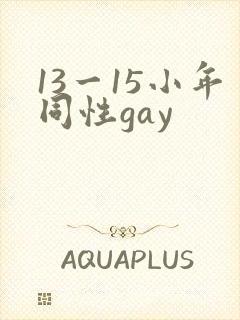 13一15小年同性gay封面