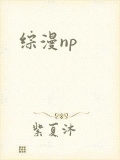 综漫np