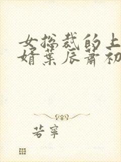 女总裁的上门女婿叶辰萧初然