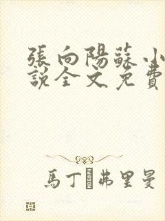 张向阳苏小棠小说全文免费阅读笔趣阁