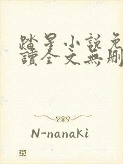 踏星小说免费阅读全文无删减