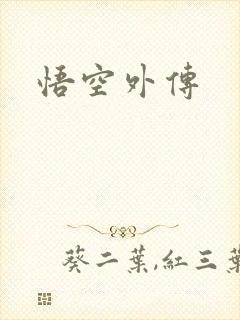 悟空外传