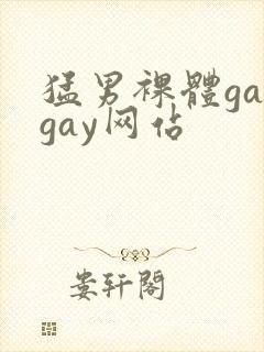 猛男裸体gaygay网站