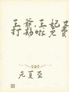 王爷,王妃又去打劫啦免费阅读