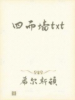 四面墙txt