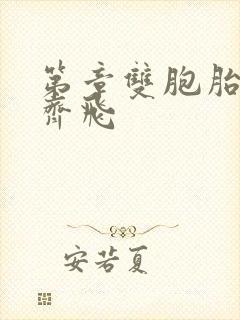 第章双胞胎姐妹齐飞