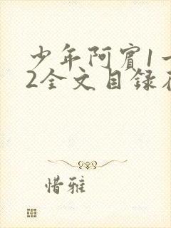 少年阿宾1一72全文目录在线