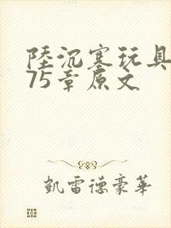 陆沉塞玩具高速75章原文