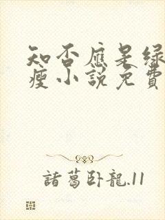 知否应是绿肥红瘦小说免费阅读