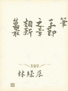 万相之王笔趣阁最新章节封面