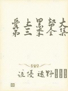 爱上黑帮大佬的第三季全集免费观看