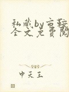 私藏by市鞍马全文免费阅读笔趣阁封面