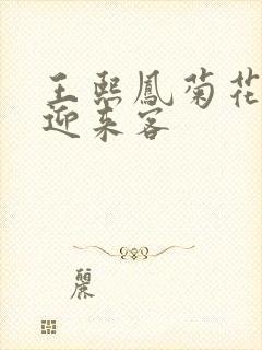 王熙凤菊花门初迎来客