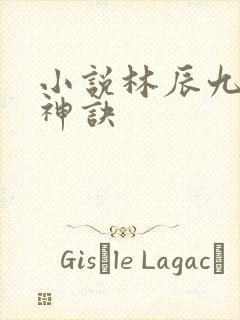 小说林辰九天斩神诀