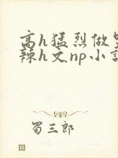 高h猛烈做哭高辣h文np小说