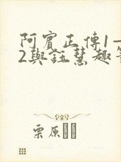 阿宾正传1—72与钰慧趣笔阁txt