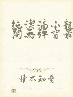 纯洁滴小龙笔趣阁无弹窗最新章节阅