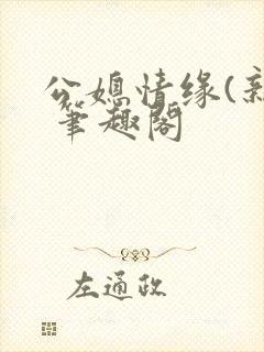 公媳情缘(新) 笔趣阁