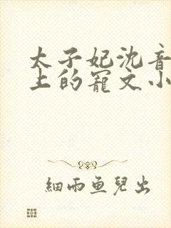 太子妃沈音和皇上的宠文小说封面