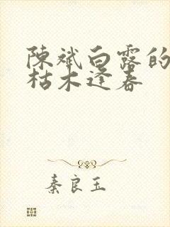 陈斌白露的小说枯木逢春