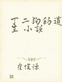 丁二狗的逍遥人生 小说