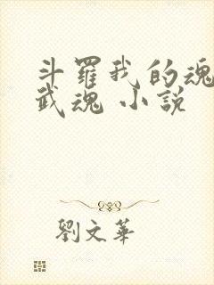 斗罗我的魂环是武魂 小说
