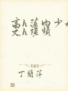 高h荡肉少妇爽文h视频
