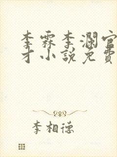 李霖李澜官场奇才小说免费阅读