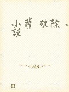 小萝 破除 小说