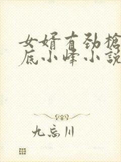 女婿有劲枪枪到底小峰小说