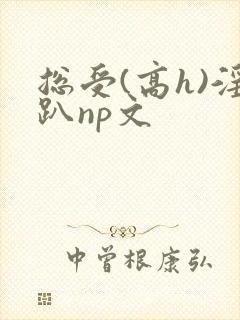 总受(高h)淫趴np文