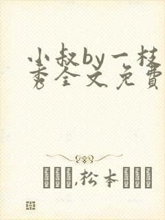 小叔by一枝独秀全文免费阅读笔趣阁最