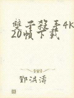 双子杀手4k120帧下载封面