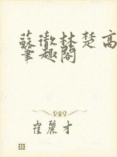 苏彻林楚高天赐笔趣阁封面