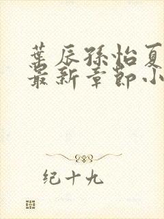 叶辰孙怡夏若雪最新章节小说心