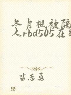 冬月枫被隔壁男人rbd505在线
