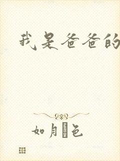 我是爸爸的玩具