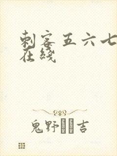 刺客五六七动漫在线