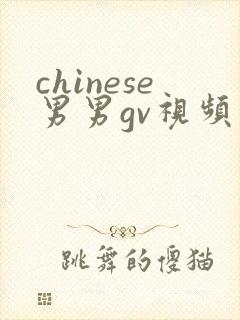 chinese男男gv视频