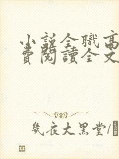 小说全职高手免费阅读全文无窗口