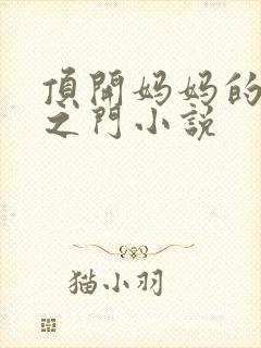 顶开妈妈的生命之门小说封面