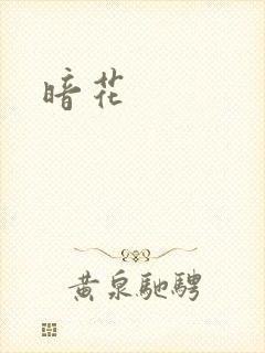 暗花封面