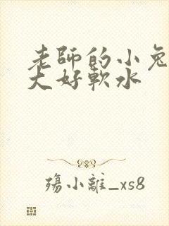 老师的小兔子好大好软水