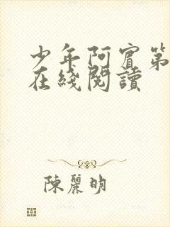 少年阿宾第一章在线阅读