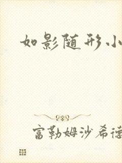 如影随形小说封面