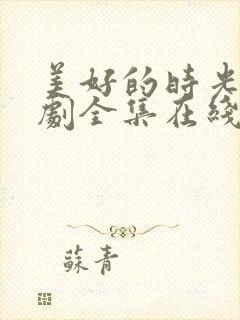 美好的时光电视剧全集在线观看免费封面