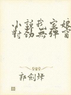 小说我家娘子不对劲无弹窗无广告