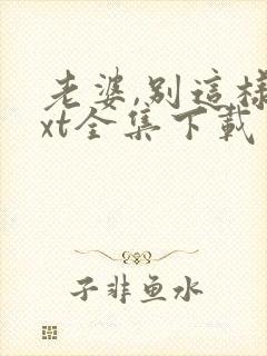 老婆,别这样txt全集下载 完整版封面